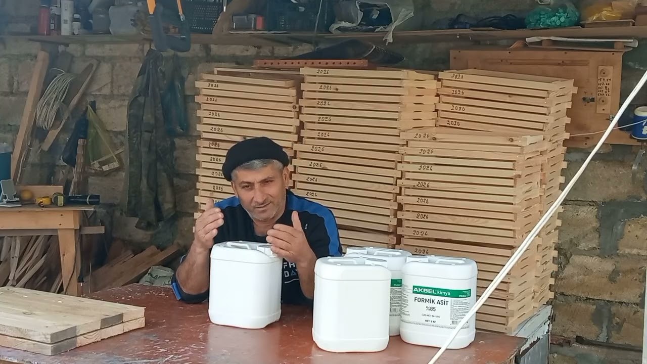 Varroaya qarşı orqanik turşular ilə mübarizə.