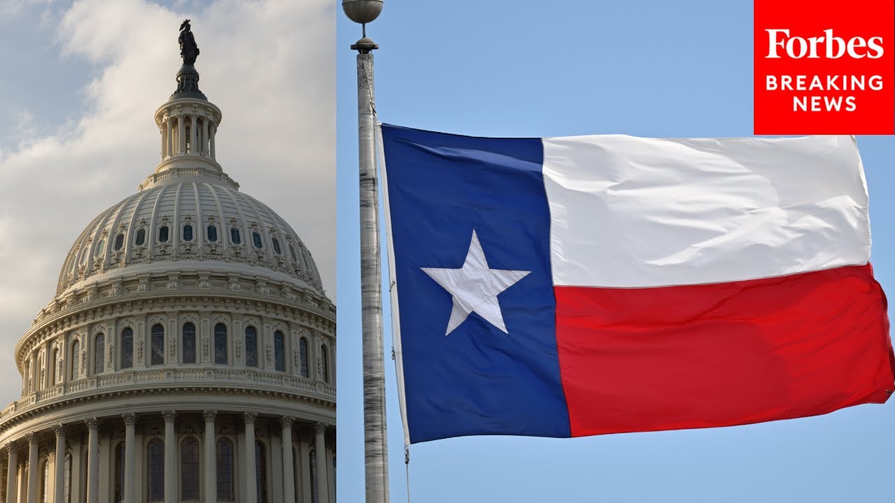 Texas Democratic Party Chair: This Is Why Flipping Texas Senate Seat Blue In November Is 'Possible'