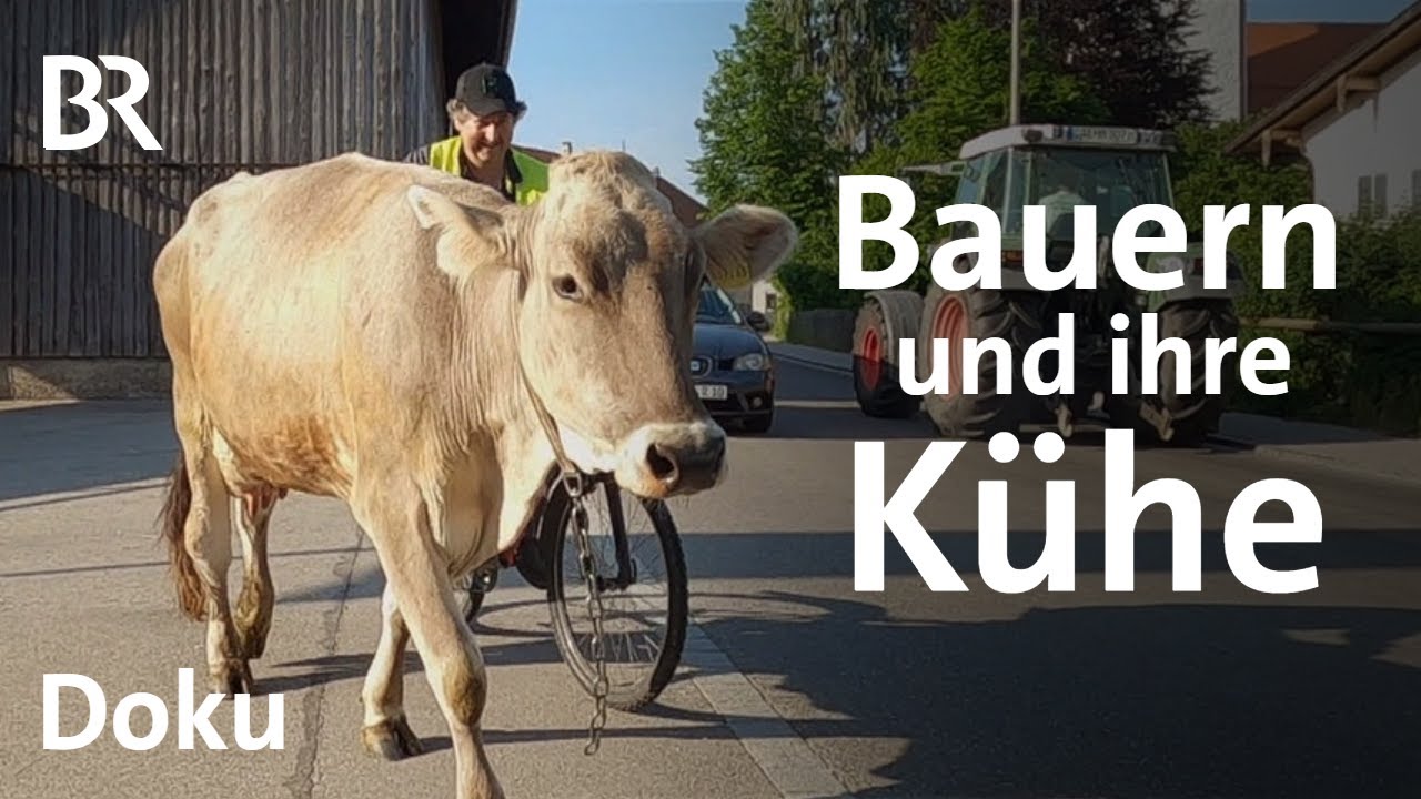 Von Bauern und ihren Kühen | Stall und Weide | Unter unserem Himmel | BR | Doku