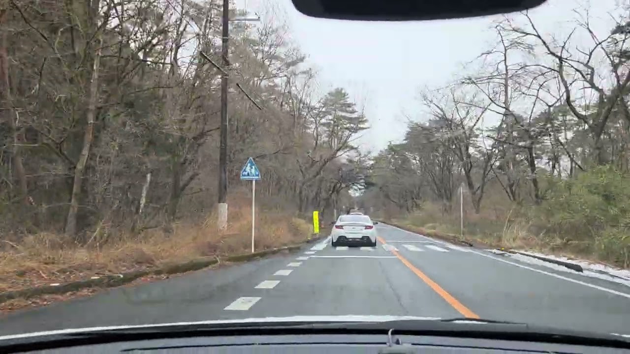 일본 도쿄외곽 닛코 도로주행