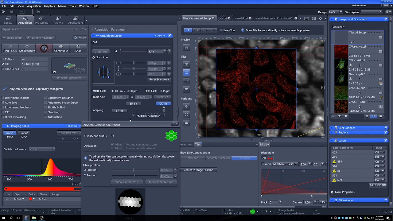 Zeiss 980: Airyscanning