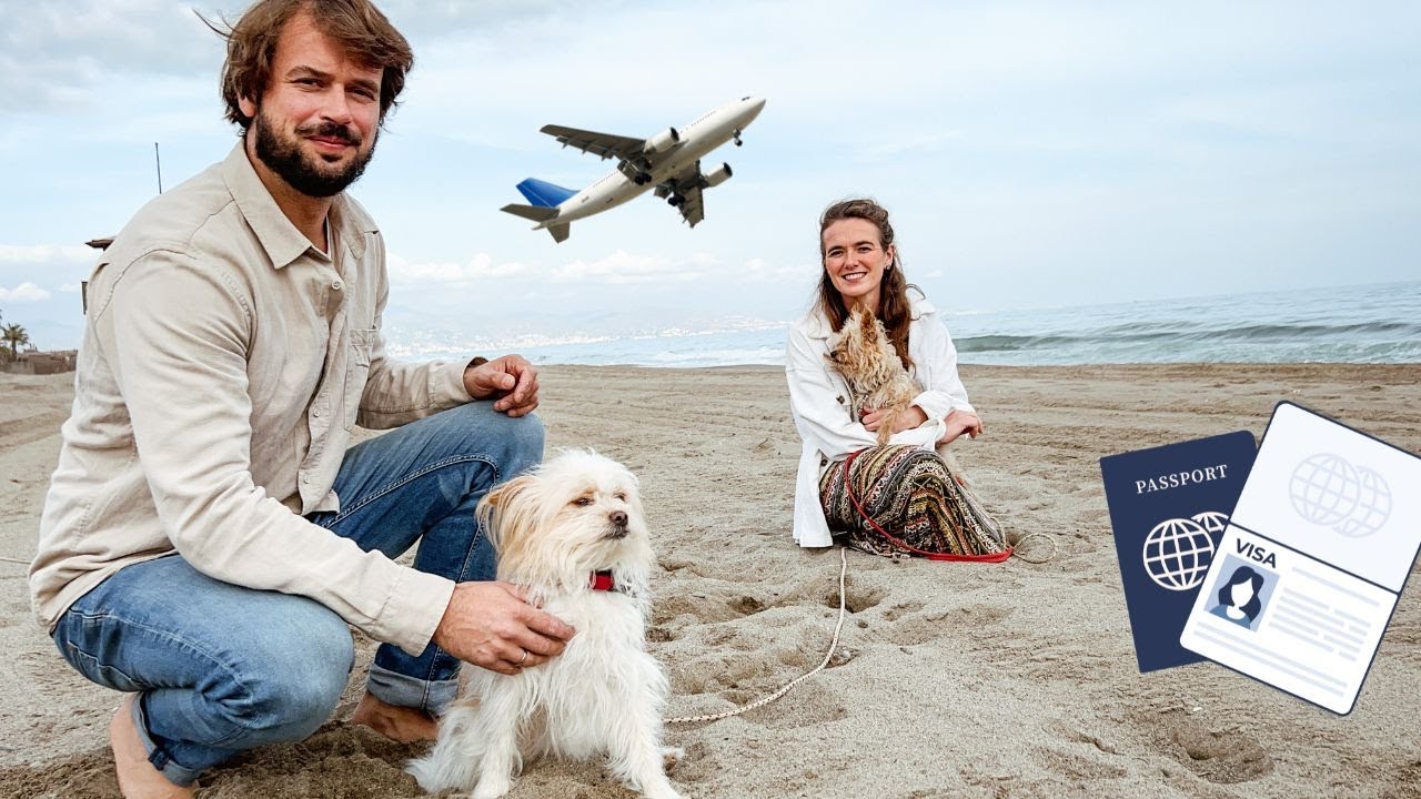 Fliegen mit Hund als Handgepäck (EU) - Erfahrungsbericht & Tipps