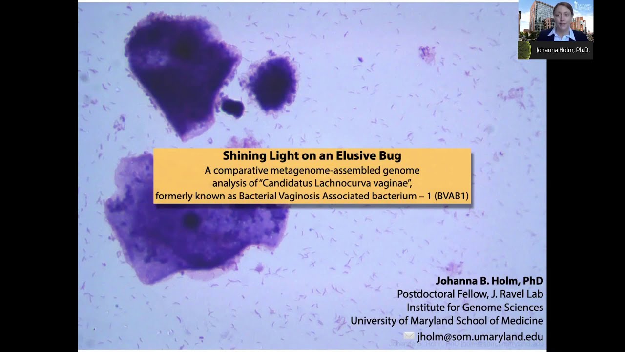Shining Light On An Elusive Bug: A comparative metagenome-assembled genome “C. Lachnocurva vaginae”