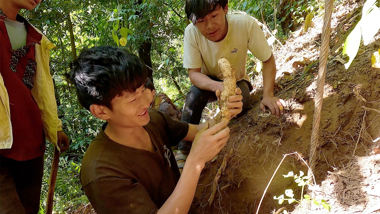 sanjip finding wild yam roots in the jungle || village life in rural Nepal ||