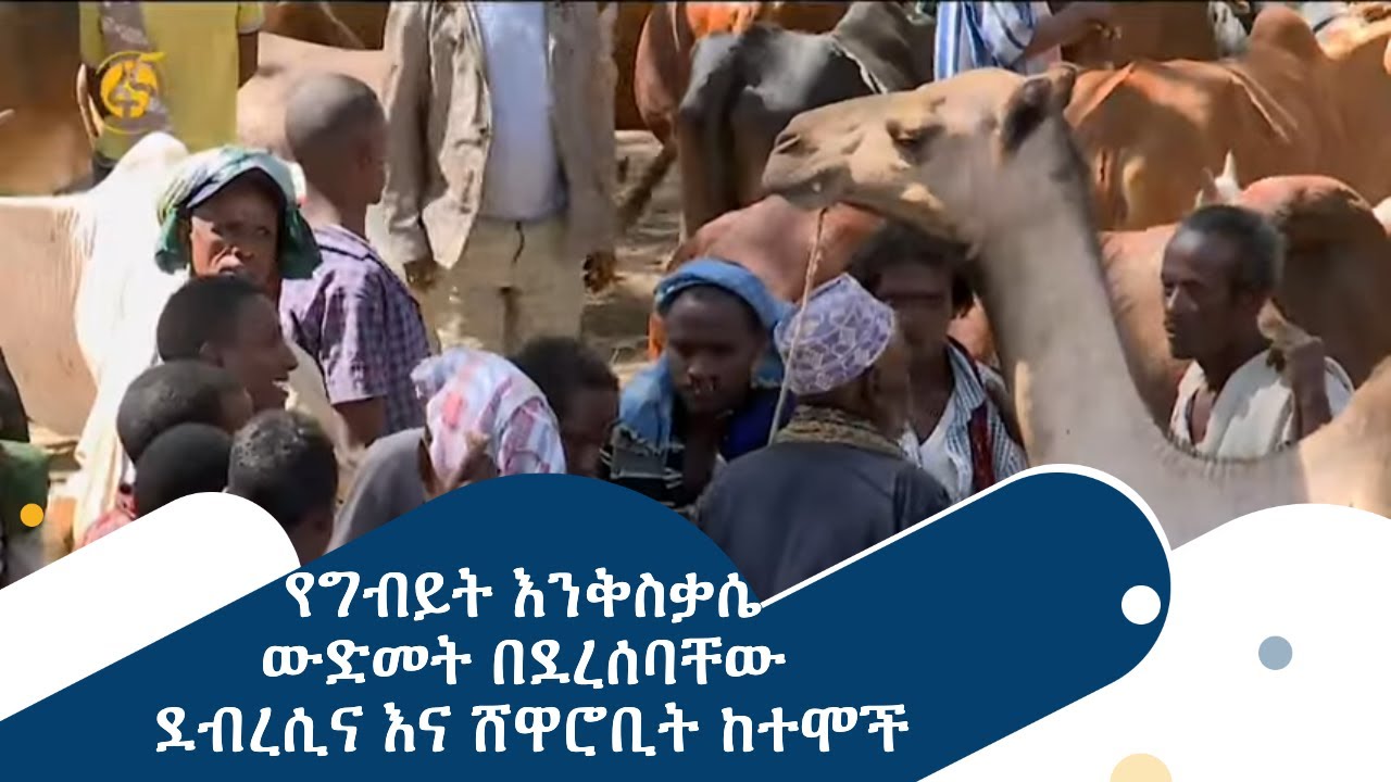 የግብይት እንቅስቃሴ ውድመት በደረሰባቸው ደብረሲና እና ሸዋሮቢት ከተሞች