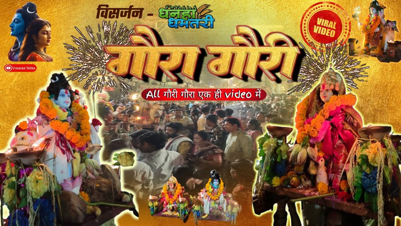 ||Gauri Gaura Visarjan Dhamtari 2025|| पूरा धमतरी के गौरी गौरा विसर्जन एक ही वीडियो मा 