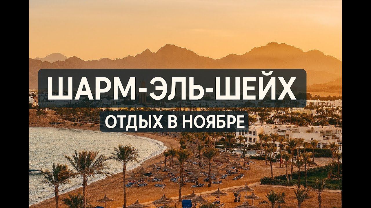 Отпуск в Египте: Шарм-эль-Шейх, Sheraton, ноябрьская магия и подводные приключения
