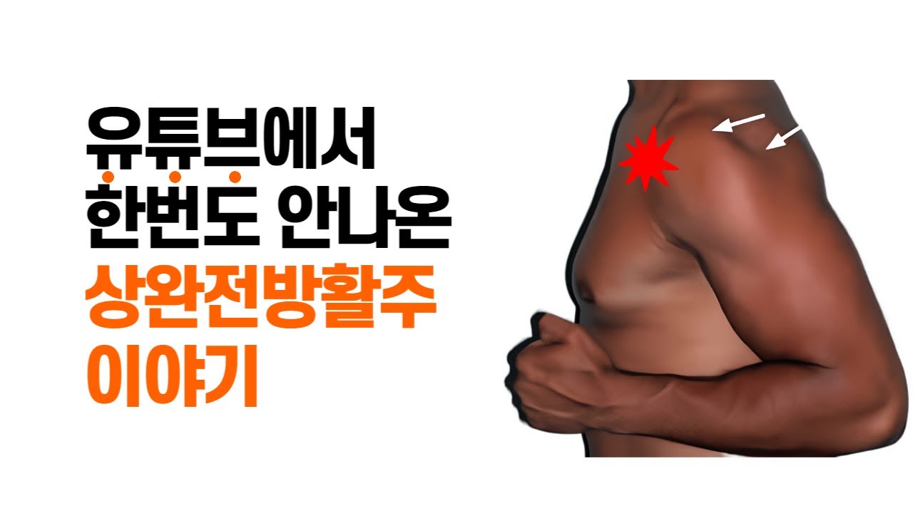 [상완전방활주] 아무도 얘기하지 않은, 그러나 중요한 내용
