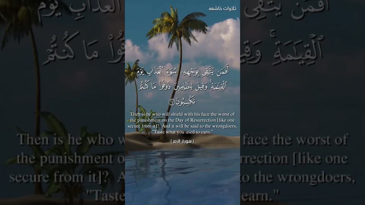 تلاوه خاشعه ماتيسر من سوره الزمر 