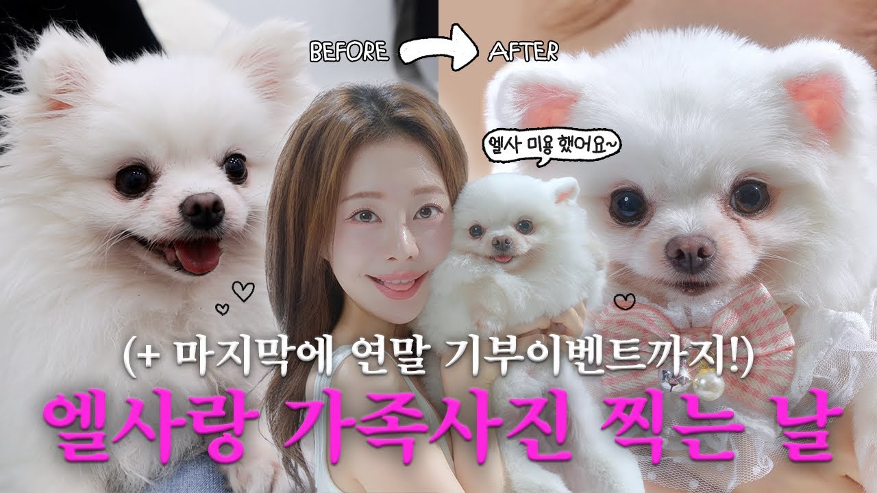 엘사 미용하고 처음으로 가족사진 찍은 날 🐶🤍 (+) 엘사랑 같이 유기견 기부까지❤️