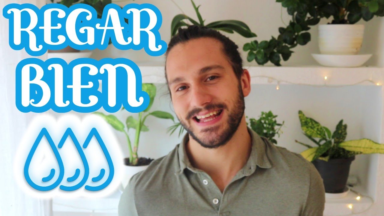 &iquest;SABES realmente REGAR? 🤔 NO s&oacute;lo importa el AGUA 💧 C&oacute;mo regar bien 💧
