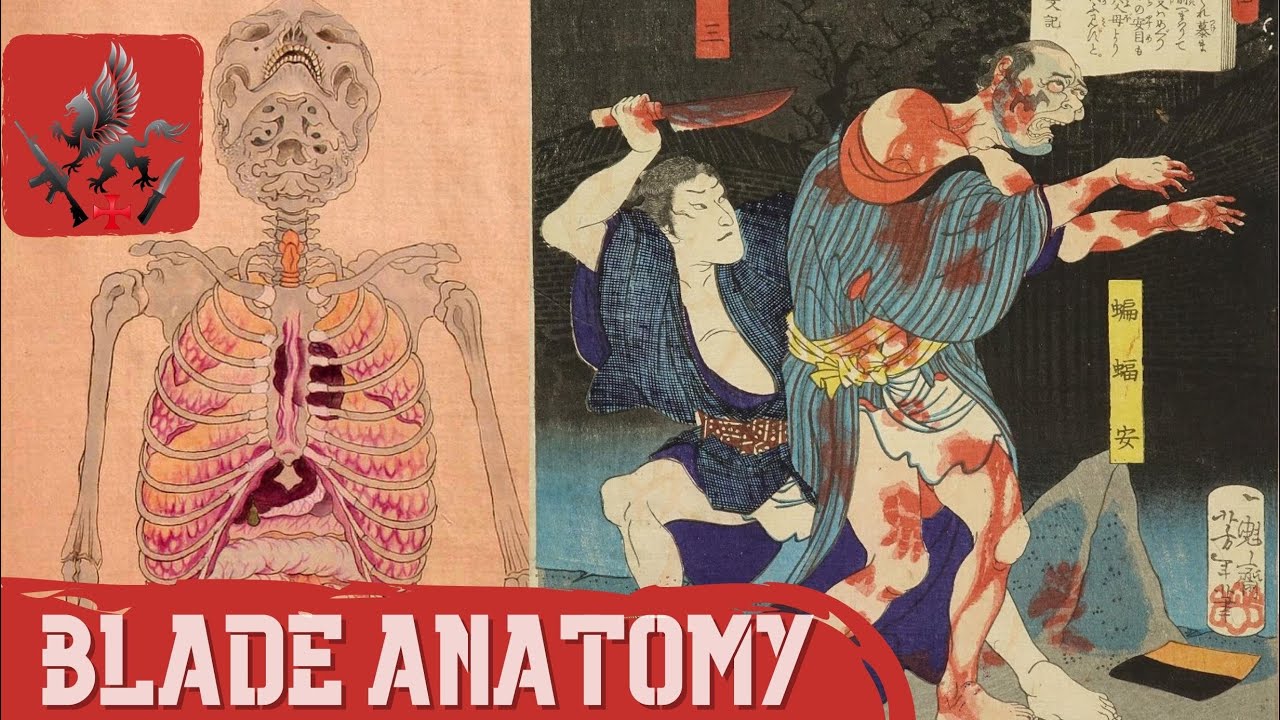 Blade Anatomy Video  + PDF Manual ( description )