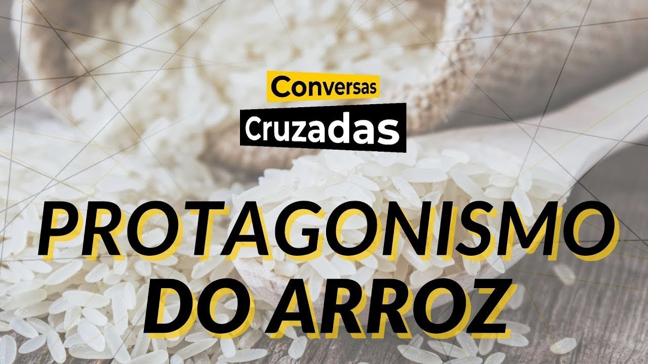Expointer: por que o arroz é protagonista na saúde e na economia? | Conversas Cruzadas