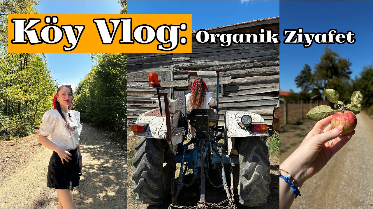 Köy Vlog: Bolu Mengen'in Dağlarında | Organik Meyve Ziyafeti! 🇹🇷
