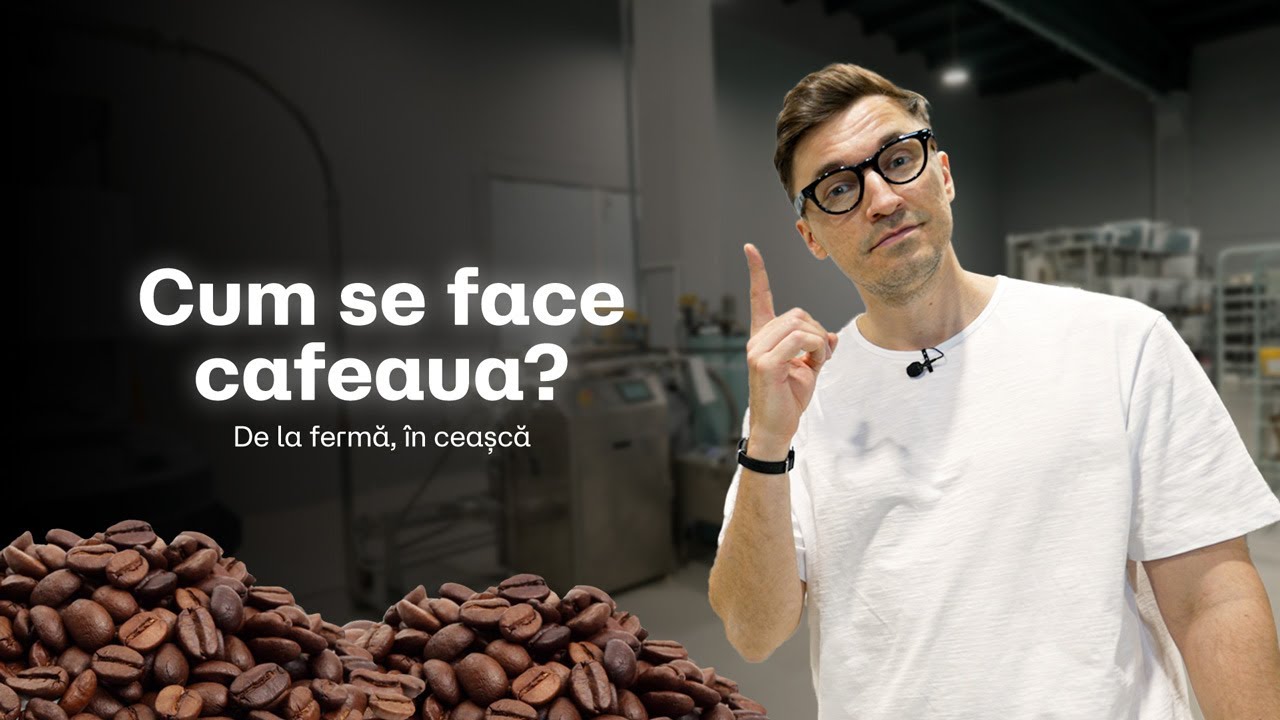 Ce &icirc;nseamnă o cafea bună? De la origini p&acirc;nă la tine &icirc;n ceașcă.