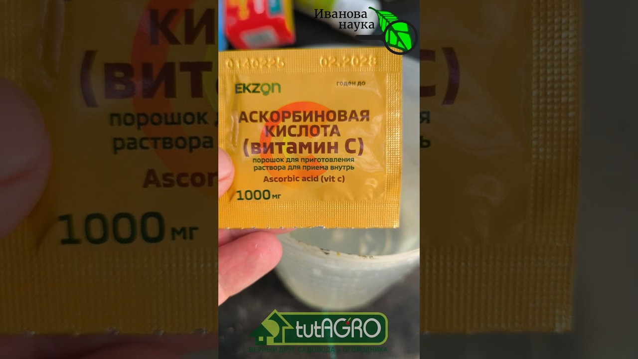 Вот что НУЖНО сейчас ВАШИМ ТОМАТАМ и ПЕРЦАМ! ТОЛСТЫЙ СТЕБЕЛЬ за 3 дня: лучшая подкормка!