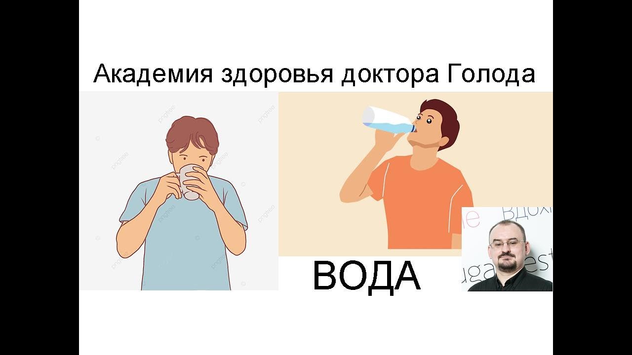 Значение воды для функционирования почки.
