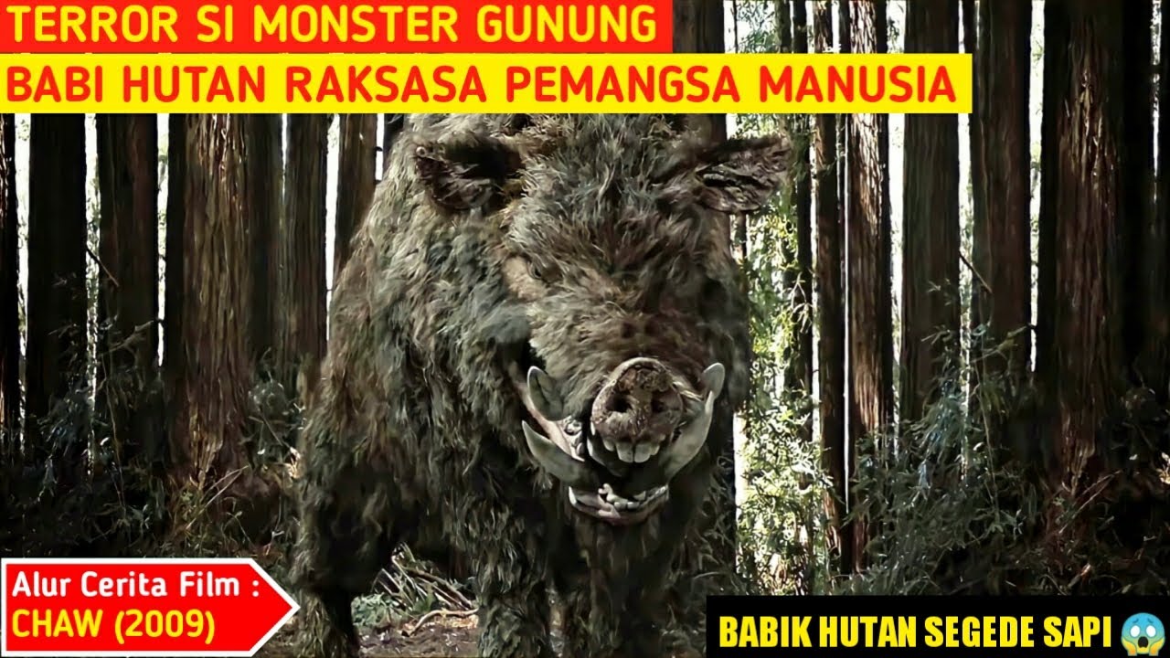 MONSTER BABI HUTAN PEMANGSA MANUSIA - Alur Cerita Film 