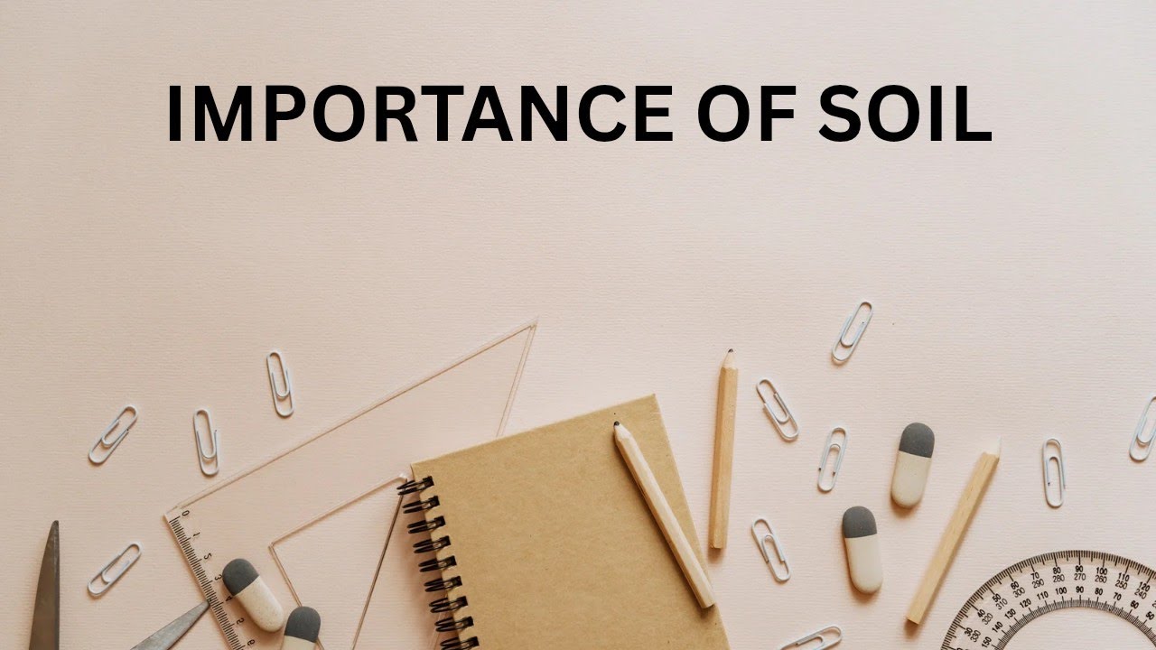 IMPORTANCE OF SOIL