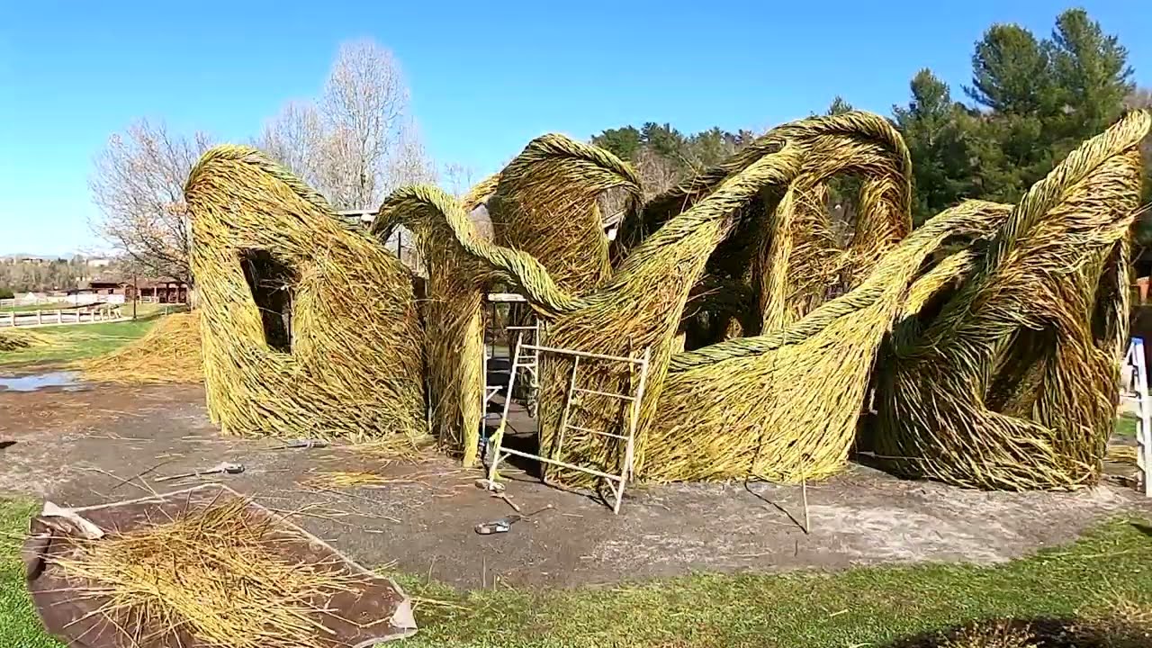 Timelapse |  The creation of 