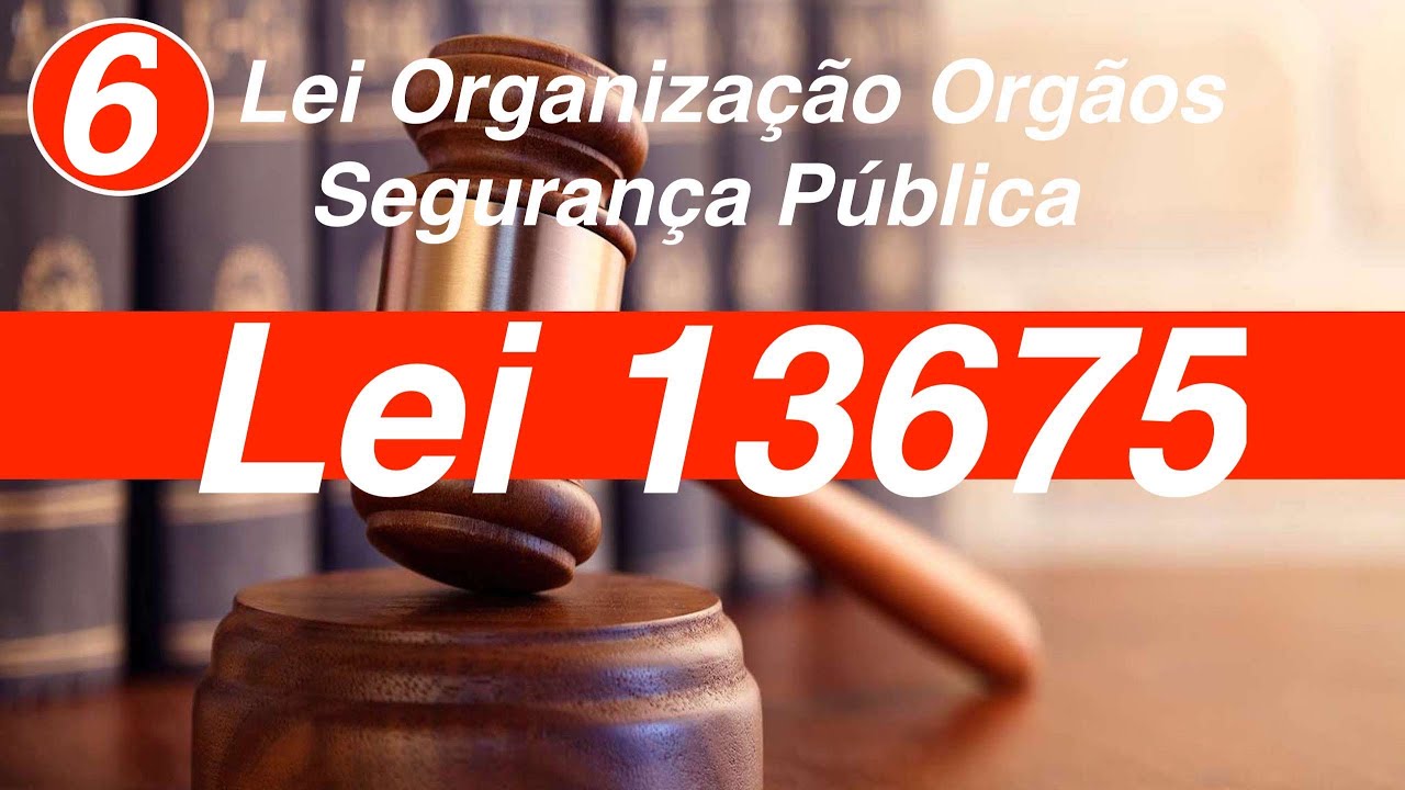 Art  39 a 50   Lei 13675     Organiza&ccedil;&atilde;o Org&atilde;os Seguran&ccedil;a P&uacute;blica
