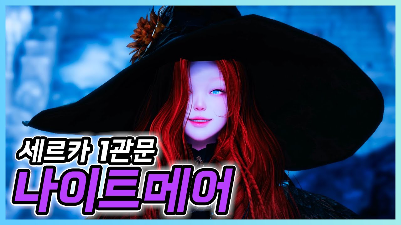[로스트아크] 세르카 나이트메어 1관문 붕쯔 디트 시점 플레이 영상입니다! / 그림자 레이드 세르카 나메 1관문 붕쯔 디트시점