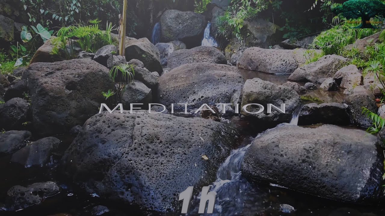 1 HOUR Forest Stream🌿 Healing Water Sounds, Meditation & Mindfulness Ambience (4K)