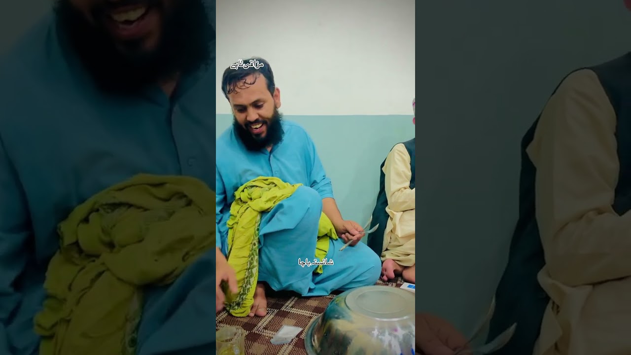 مزاقی بانڈار شائستہ باچا #pashto #foryou #pashtosong #unfrezzmyaccount #growmyaccoپشتو#plz