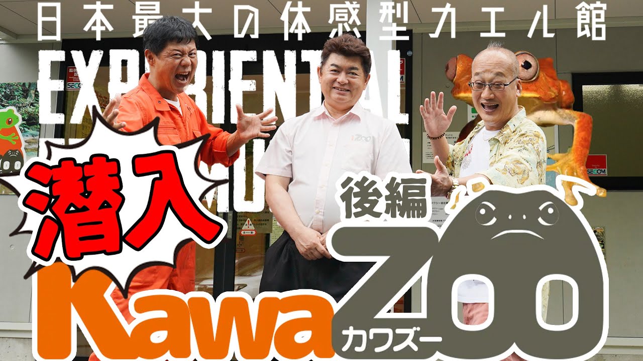 【体感型カエル館KawaZooに潜入！】ようこそ奥深いカエルの世界へ【後編】
