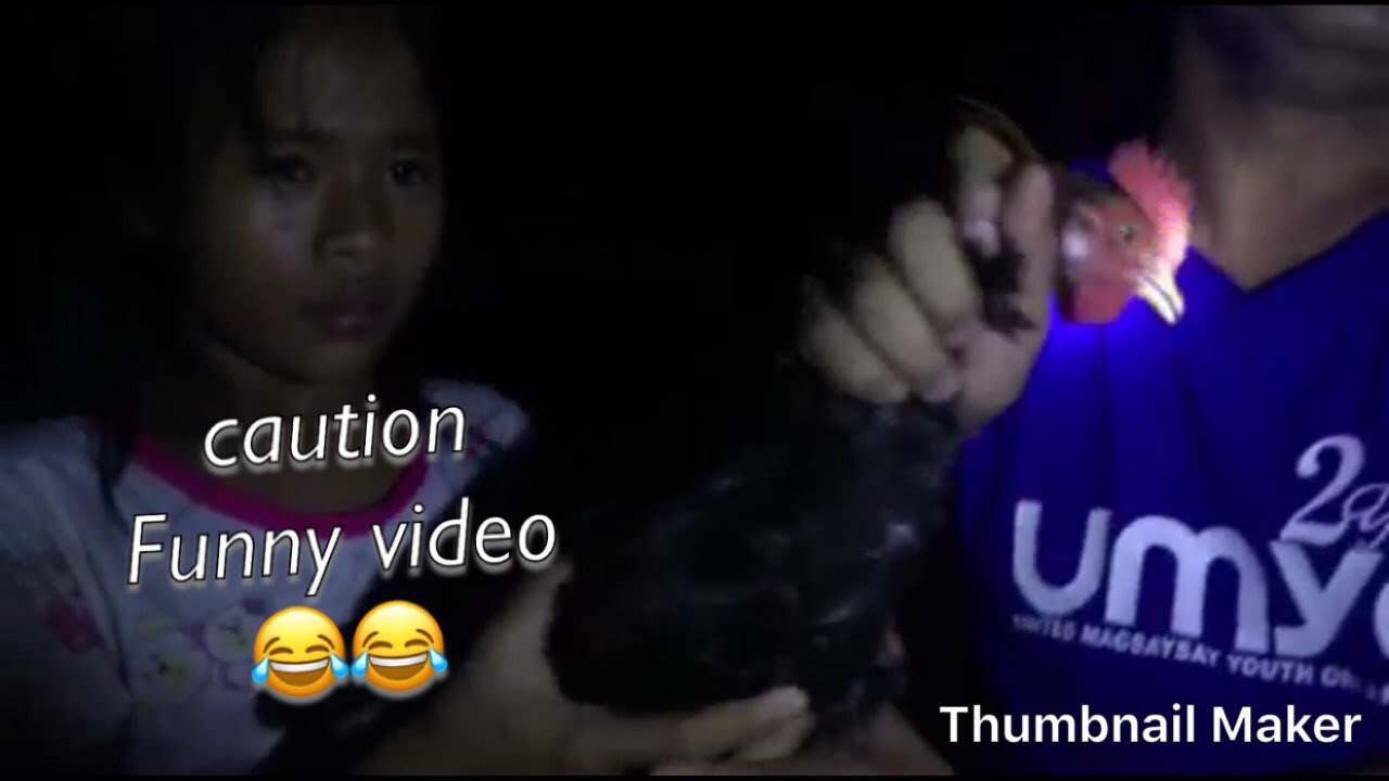 How to catch native chicken at night in the Philippines
