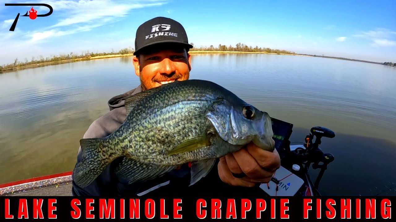Lake Seminole Crappie Fishing