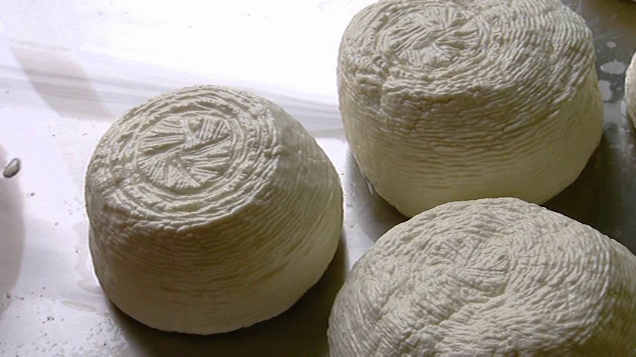 Will Studd Selected Aphrodite Halloumi