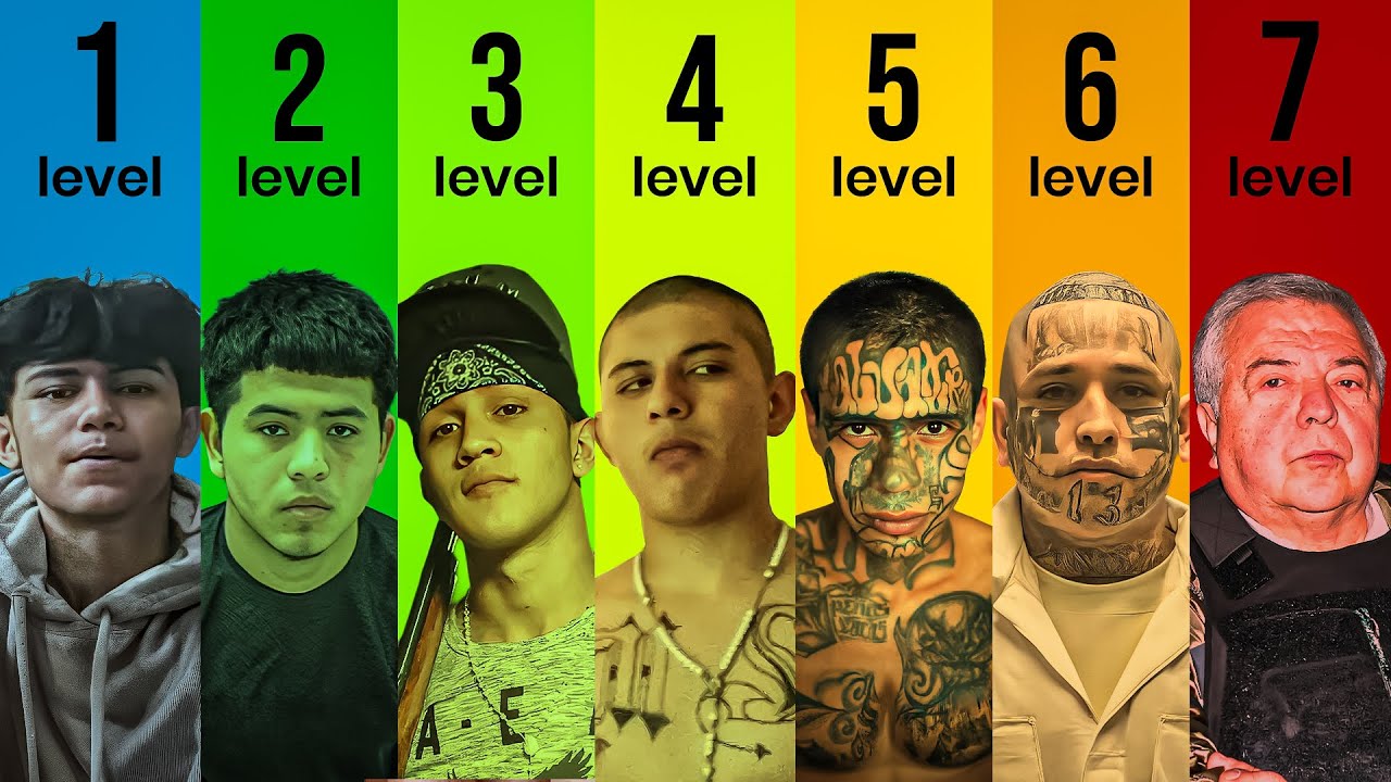 What It's Like to be Every MS-13 Rank
