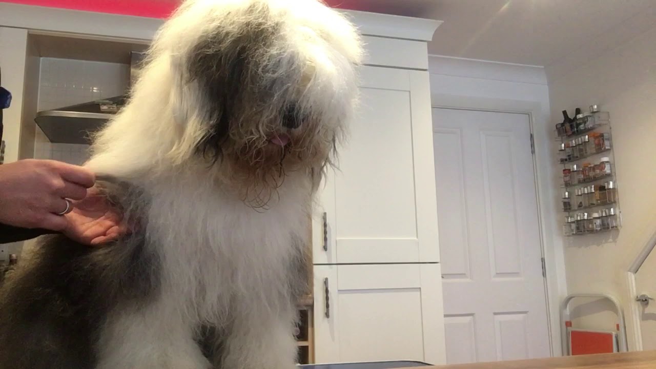 OES grooming tips