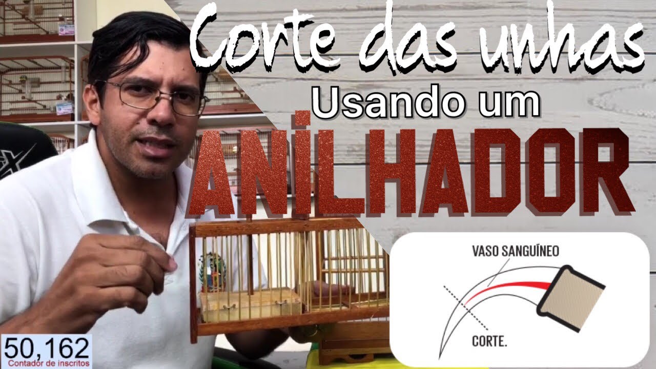 Cortando as unhas dos Coleiro