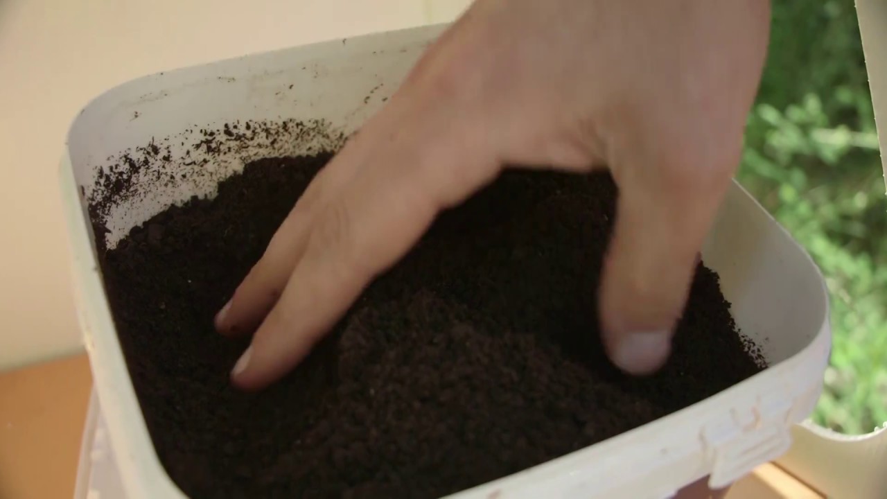CLT - Una soluzione circolare per una agricoltura sostenibile.