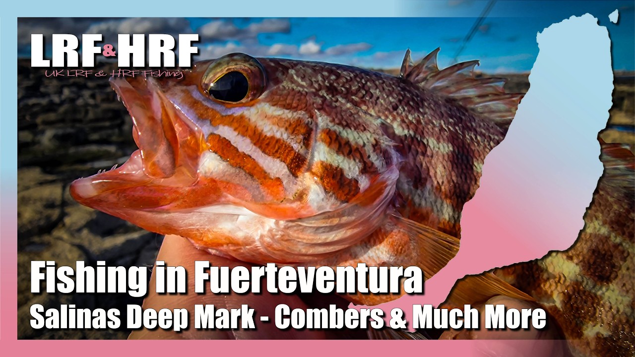 Fishing In Fuerteventura: Combers & Much More at Salinas Deep Mark