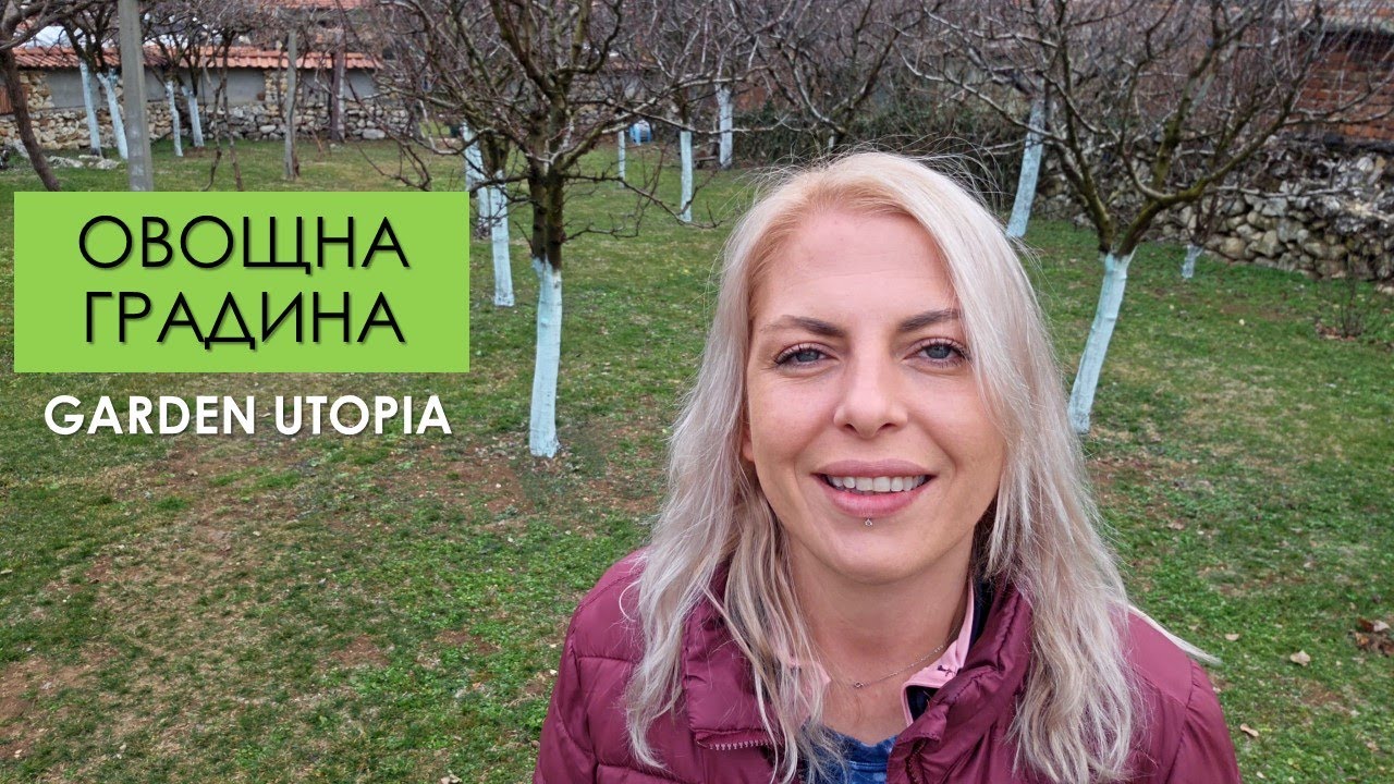 Искате ОВОЩНА ГРАДИНА? Гледайте ТОВА ВИДЕО!