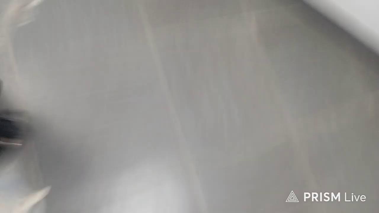 сатана ликующий с адамовой обсуждение