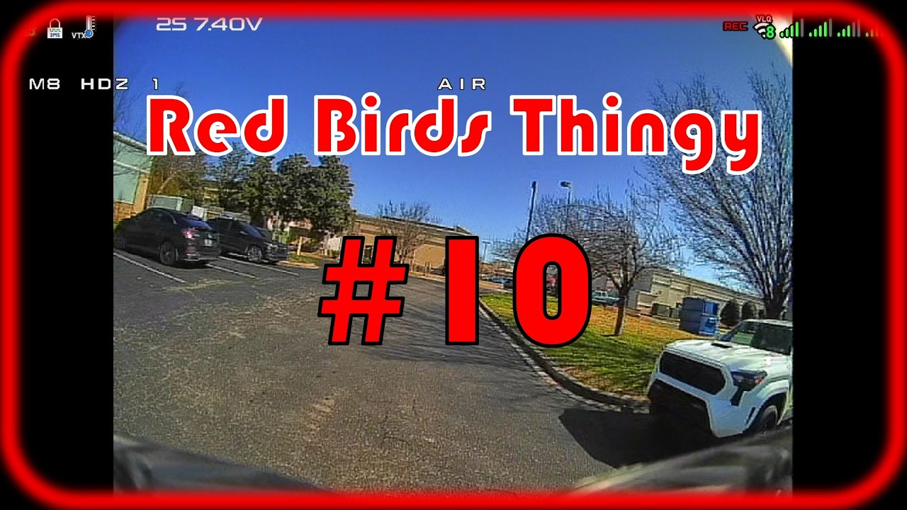 Red Birds Thingy #10