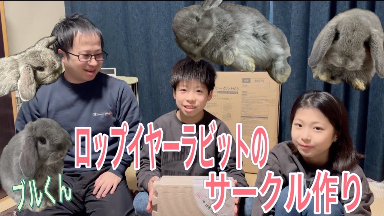 ジュニア体操選手たけとほのかが、ロップイヤーラビットのブルくんの部屋んぽサークル紹介。部屋＋散歩で部屋んぽ。