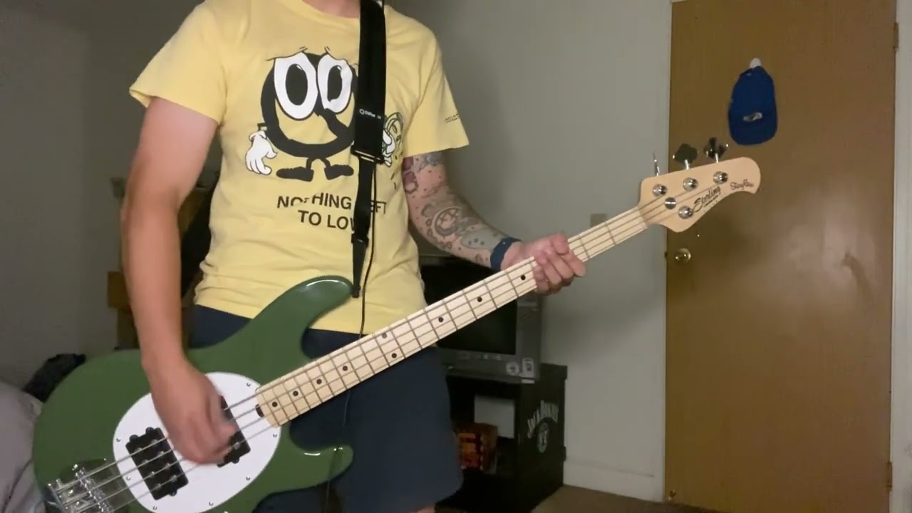 are you the one - basement | bass cover