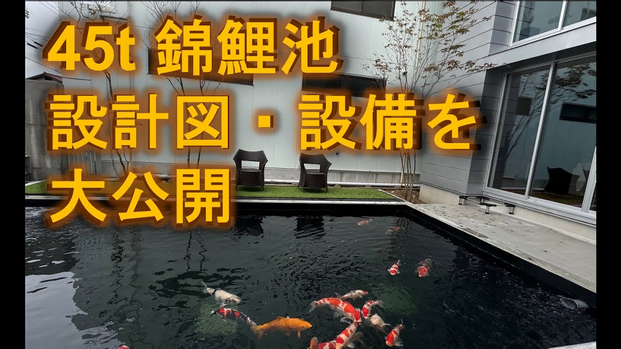 45tコンクート池の設計図と設備を大公開！！Design and equipment for 45t concrete koi pond #koi #成田養魚園＃ドラムフィルター