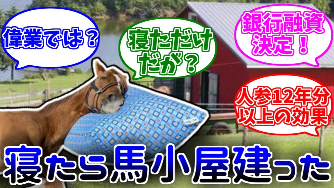 アドマイヤジャパンCM出演で新厩舎が建設決定に対する反応集【ウマ娘プリティーダービー】
