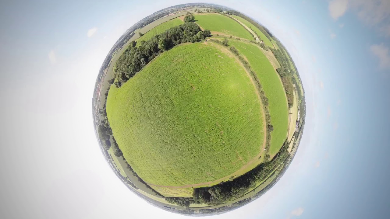 Cannabis Sativa L  Leicestershire 2019