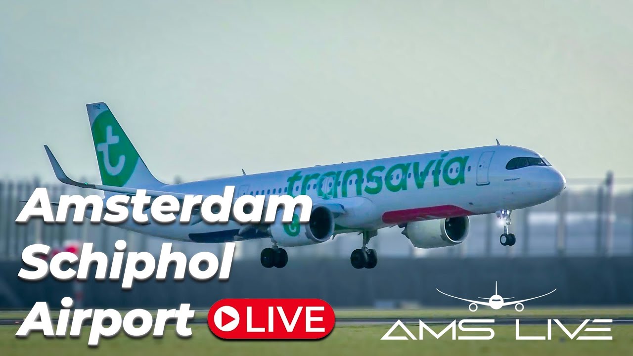 Live: post storm Isha breezy arrivals at Amsterdam Schiphol Airport