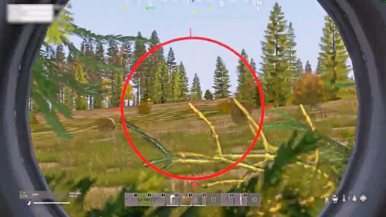 Short Clips from DayZ / The Crown DayZ