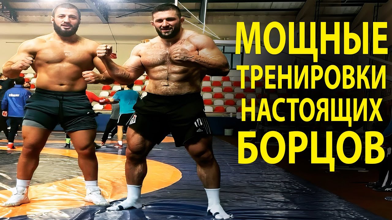 ВОТ КАК ТРЕНИРУЮТСЯ НАСТОЯЩИЕ БОРЦЫ