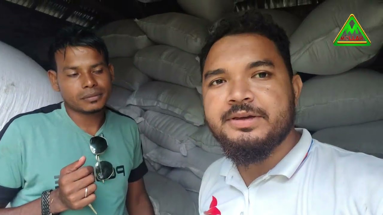 নীলফামারীতে গো-খাদ্যের ব্যাবসাCow feed business in Nilphamari|mollahkrishitv|