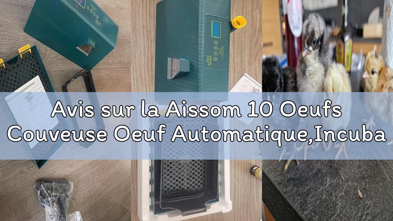Avis sur la Aissom 10 Oeufs Couveuse Oeuf Automatique,Incubateur Oeuf,Couveuse Automatique Retourneu